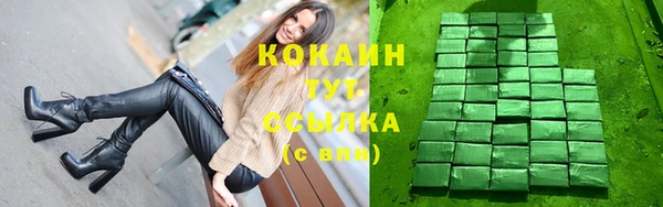 ALPHA PVP Богородицк