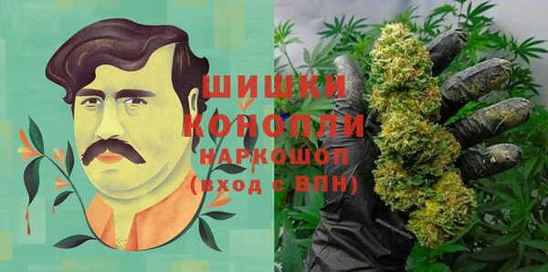 ALPHA PVP Богородицк