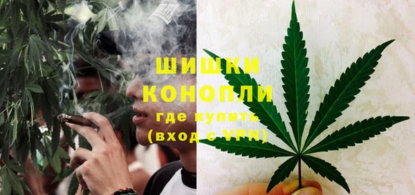 ALPHA PVP Богородицк